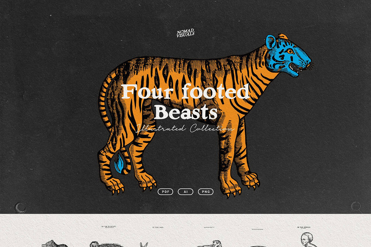 Vintage Bundle - 6600+ Illustrations, an Animal Illustration by Nomad Visuals (Photo 26 of 45)