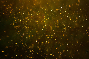 Drops of rain