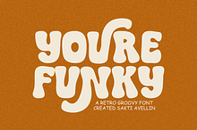 Youre Funky - Retro Groovy Font