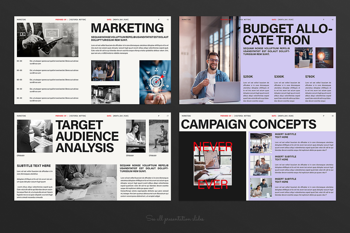 Marketing Plan Presentation Template preview 3