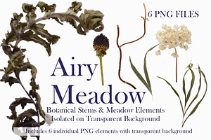 Airy Meadow Close Up Florals