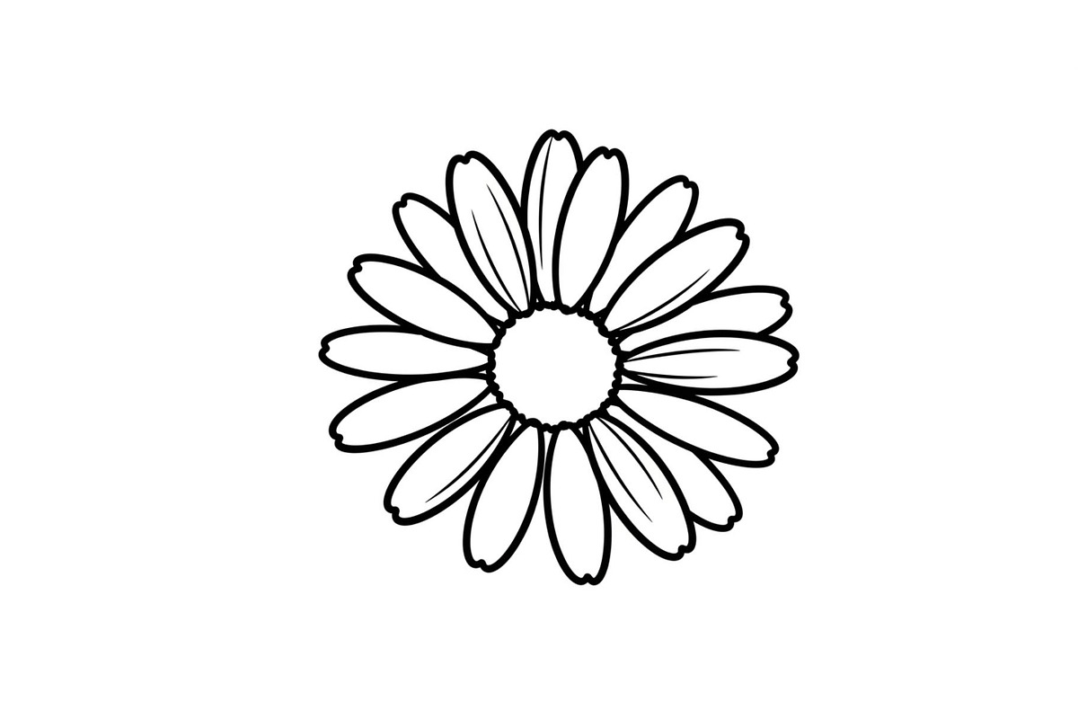 Daisy Flower Line Art Vector Bundle0, an Illustration by jahid234 (Photo 7 of 51)