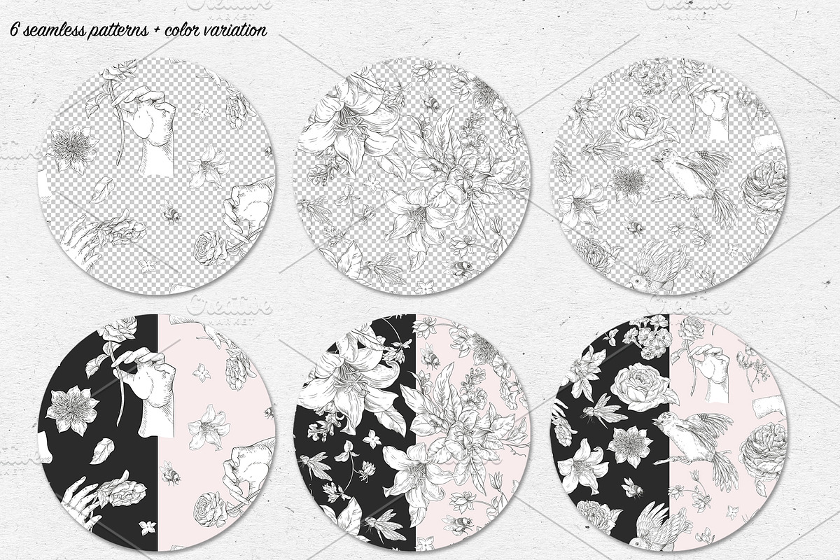 Regency flowers hand-drawn clipart, a Decorative Illustration by Depiano (Photo 6 of 10)