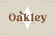 Dellaris, a Serif Font by Zafiratype (Thumbnail 7 of 13)