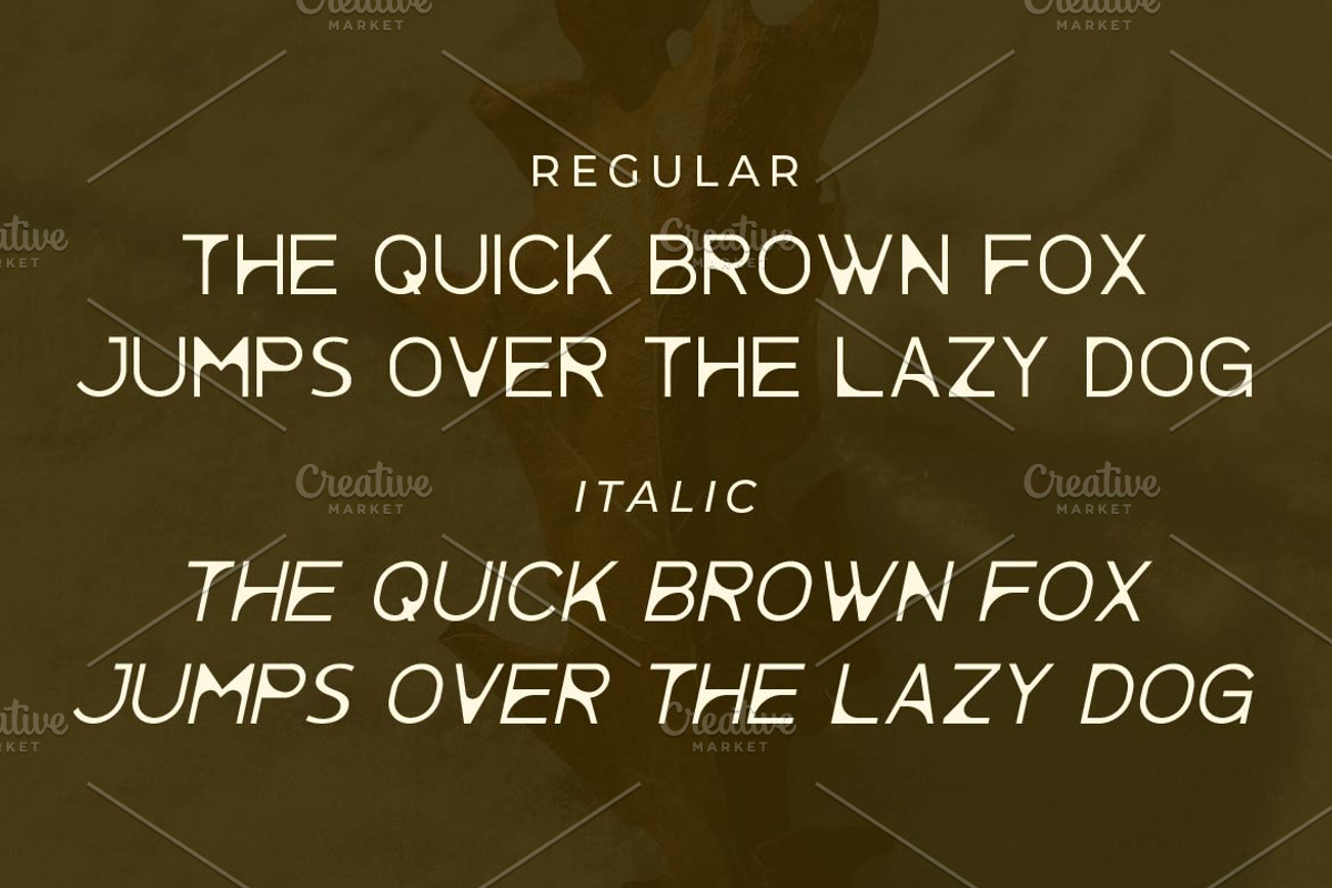Pelara - Creative Sans Serif Font, a Sans Serif Font by Artiveko (Photo 4 of 4)