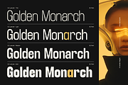 TRT Lancelot Condensed Font Family, a Sans Serif Font by truetype (Thumbnail 6 of 15)