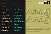 Quirlone, a Serif Font by Propertype (Thumbnail 4 of 10)