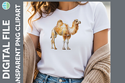 Safari Animal Illustration Bundle, an Animal Illustration by Enliven Designs (Thumbnail 8 of 8)
