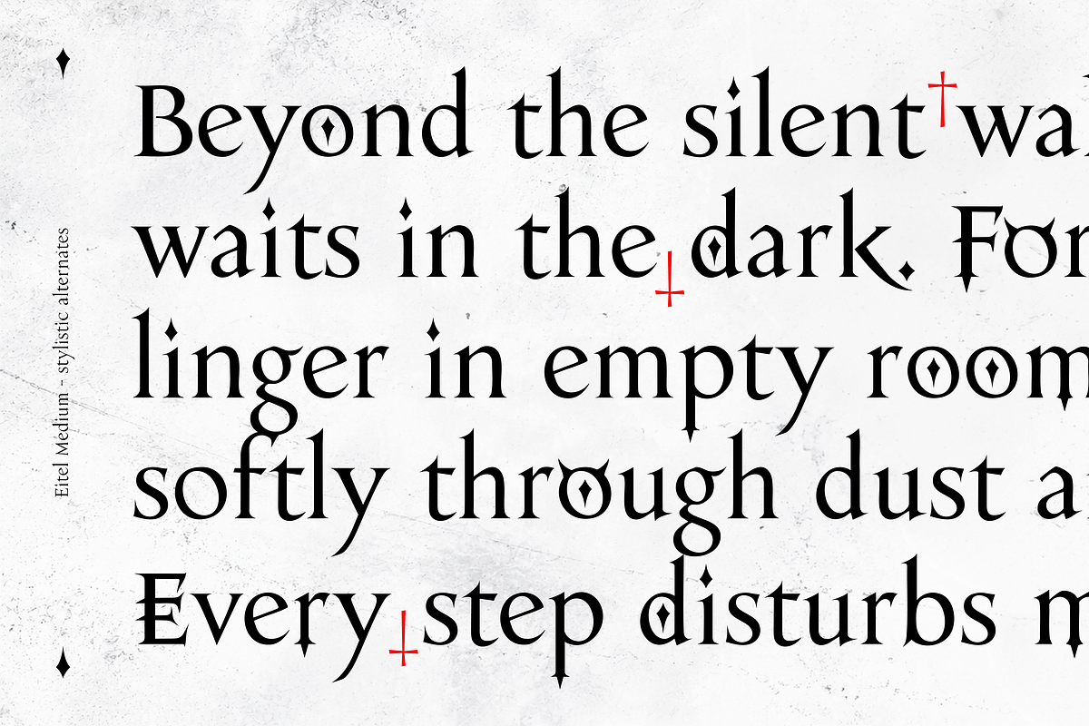 Eitel, a Serif Font by Rosario Nocera (Photo 5 of 11)