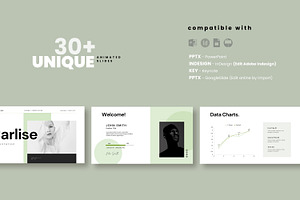 Carlise PowerPoint Template