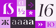 Celaraz, a Serif Font by Tokotype (Thumbnail 2 of 6)