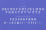 Nevolide (40% OFF), a Serif Font by Randi Irvan | Rvandtype (Thumbnail 8 of 9)