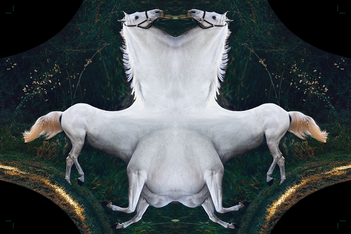 Unwrap Machine - Distort Warp Action, an Action Add-On by bangingjoints (Photo 6 of 8)