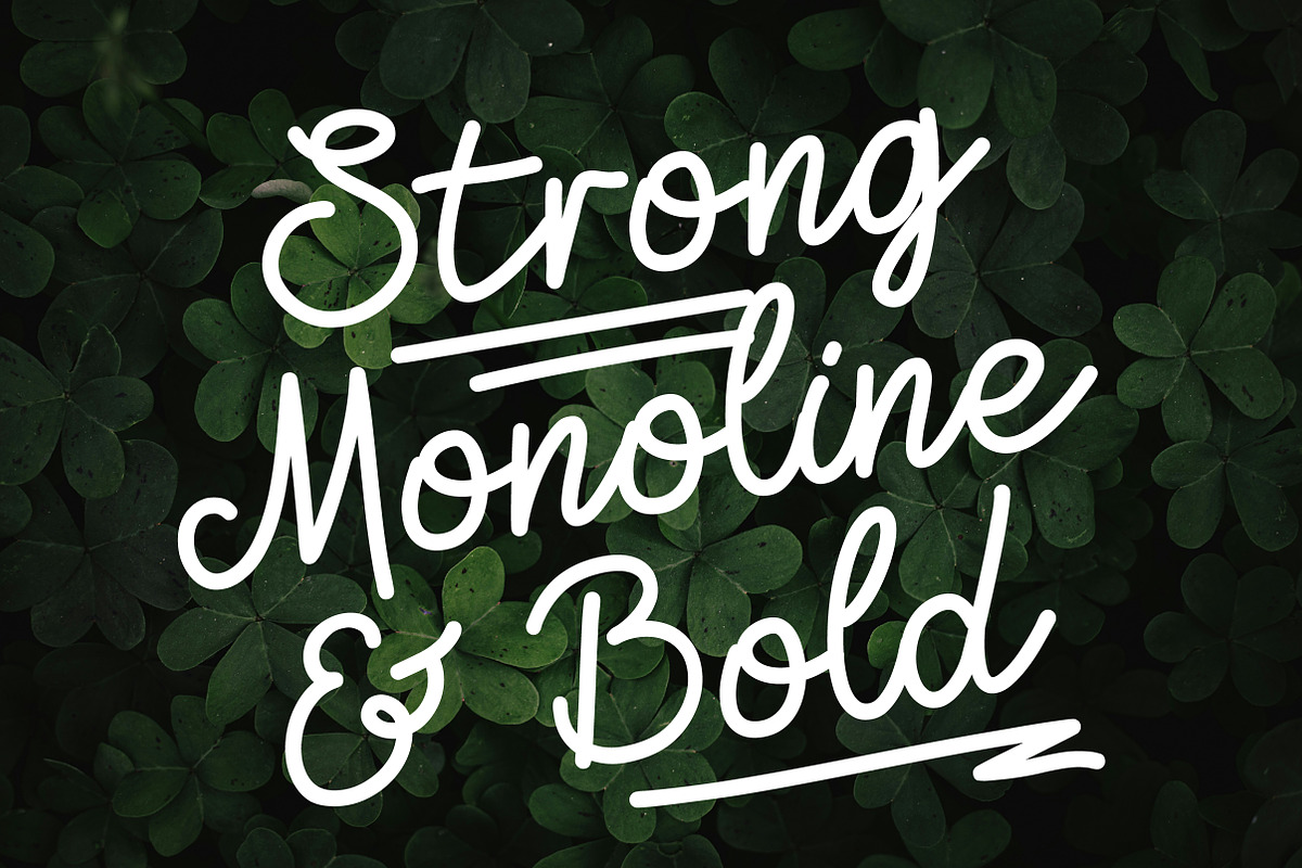 Zolfiq Monoline Smooth & Cool Script, a Script Font by Lettertype Studio (Photo 2 of 8)