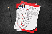 Minimal Resume/CV Template, a Resume Template by designvillage (Thumbnail 12 of 12)