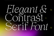 Dx Gaster + Italic, a Serif Font by Dirtyline Studio (Thumbnail 11 of 11)