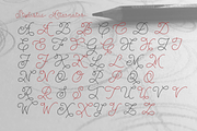 Abigail Script, a Script Font by Roland Huse Design (Thumbnail 5 of 6)