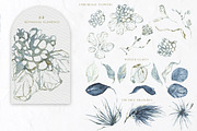 Frosty Forest Winter Collection, an Animal Illustration by Cat In Colour (Thumbnail 5 of 10)