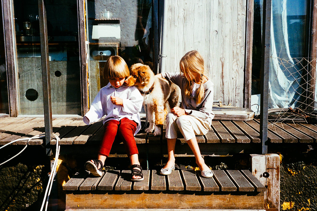 Fuji Velvia 100-F Lightroom Presets, an Action Add-On by Daily Studio (Photo 5 of 10)