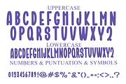 Ebook, a Script Font by FreshTypeINK (Thumbnail 5 of 7)