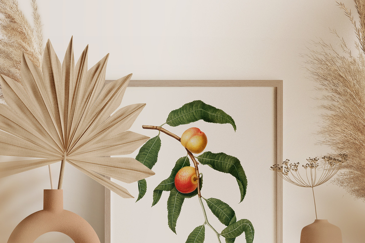 Vintage Peach Botanical Graphics #02, an Object Illustration by Olga Begak Art & Design (Photo 7 of 8)