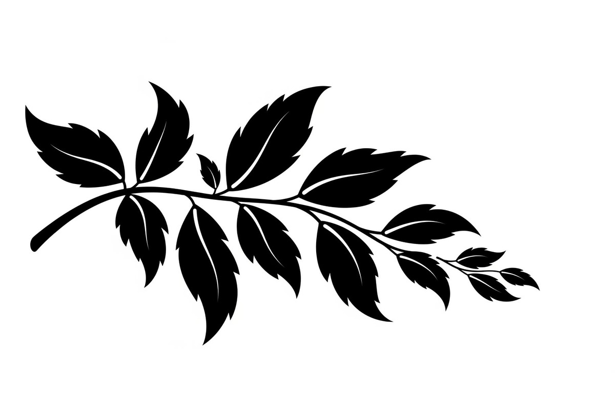 Botanical Leaf Silhouette Bundle, an Illustration by yasushie (Photo 14 of 51)