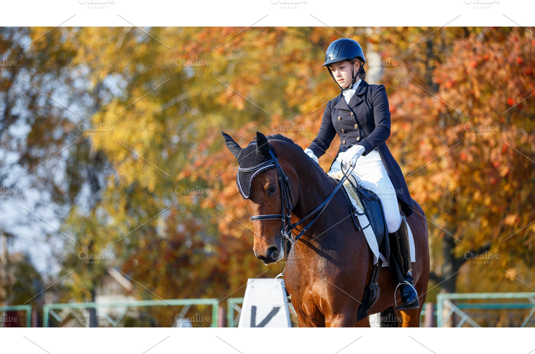 Teenage girl riding horse on, a Sports & Recreation Photo by serkum