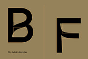 Karl – Cool Sans w Unique Alternates, a Sans Serif Font by Local Desk Designstudio (Thumbnail 11 of 28)