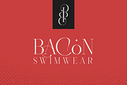 Type Monster - Elegant Font + Extras, a Serif Font by VP Fonts (Thumbnail 2 of 15)