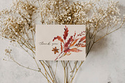 Spicy Fall herbs & berries, a Decorative Illustration by Volha Studio (Thumbnail 9 of 9)