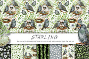 Starling family, spring bird, plants, an Animal Illustration by Artmanata (Thumbnail 2 of 16)