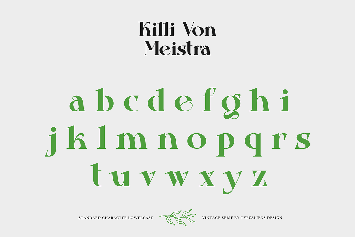 Killi Von Meistra, a Serif Font by ilhamtaro (Photo 7 of 11)
