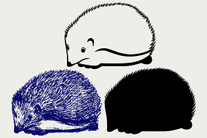 Hedgehog SVG