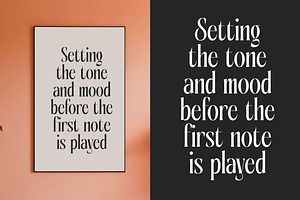 Aligner - Tall Serif Display