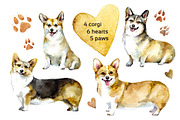 Happy corgi Watrcolor set, an Animal Illustration by Green_leaf_17 (Thumbnail 2 of 3)