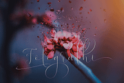 Virgita script, a Script Font by Letter-P (Thumbnail 5 of 10)