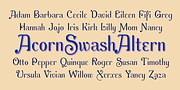 Acorn Swash, a Sans Serif Font by Ingrimayne Type (Thumbnail 7 of 7)