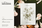 Dark Academia Flora | Illustration, an Object Graphic by KetteCreate (Thumbnail 2 of 14)