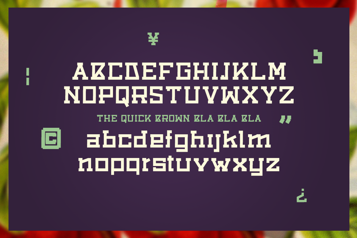 Tokyo Sam - Fonts in two styles -50% preview 4