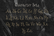 Honeystruck Curly Storybook Serif, a Serif Font by The October Creative (Thumbnail 3 of 8)