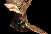 Leaf: 65 Metal Leaf Shapes, an Object Graphic by RuleByArt (Thumbnail 11 of 19)