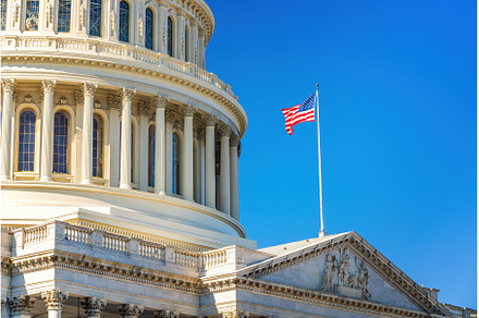 US Capitol and flag, Washington DC, an Architecture Photo by sborisov