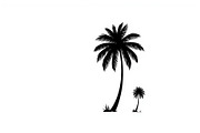 Palm Tree Vector Bundle Pack, an Illustration by Artivon (Thumbnail 8 of 20)