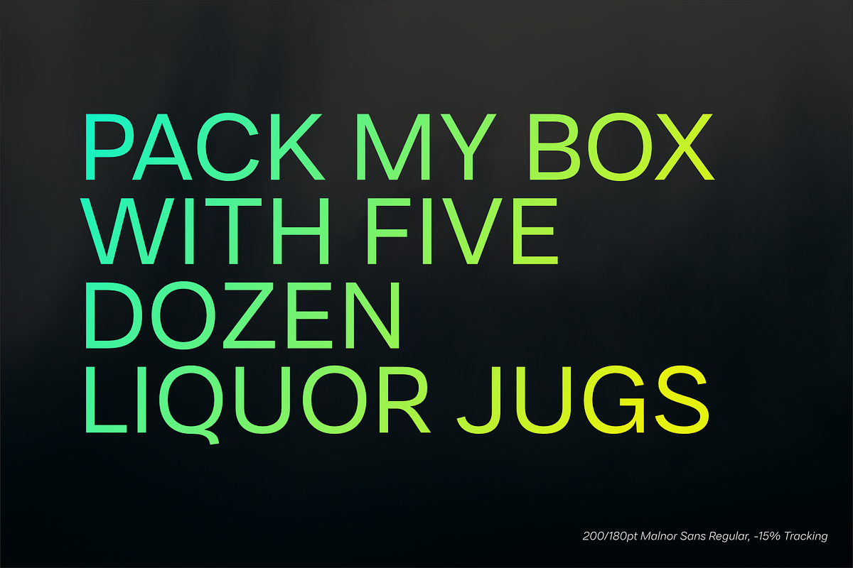 Malnor Sans Font Family, a Sans Serif Font by Sikifonts (Photo 7 of 11)