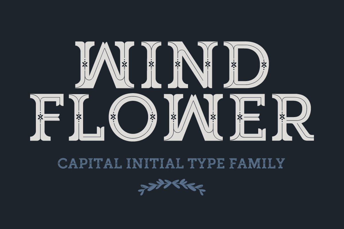 Pack - 4 Premium Fonts preview 3