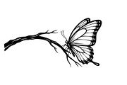 Butterfly Branch SVG Bundle, an Illustration by Creativeshirt (Thumbnail 17 of 31)