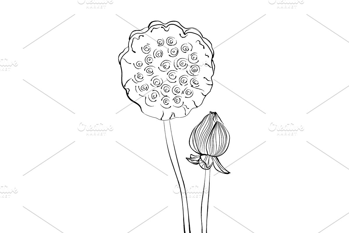 Lilies and Lotus Florals, an Object Graphic by VictoriaKStudio (Photo 6 of 10)