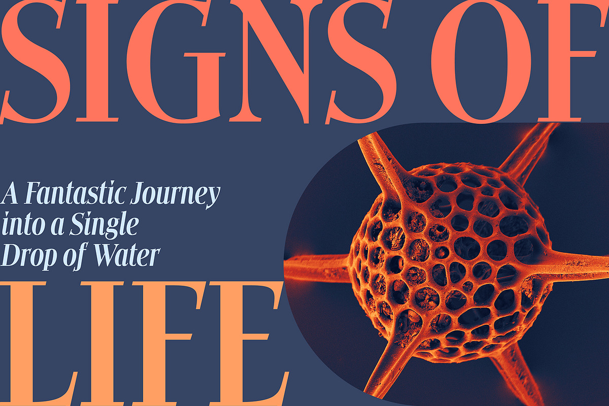 Cosmetica Font, a Serif Font by Mysterylab Designs (Photo 13 of 14)