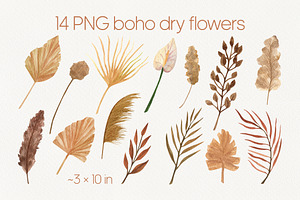 Watercolor Boho Dry Flowers Clipart