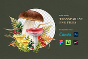 Fall Mushrooms Watercolor Clipart, a Seasonal Illustration by AnitaPol (Thumbnail 10 of 20)